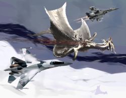 Rule 34 | aerial battle, aircraft, airplane, bad id, bad pixiv id, battle, blood, confin, dragon, fighter jet, flying, injury, jet, military, military vehicle, monster hunter (series), no humans, spirit chiasma, su-35, vehicle focus