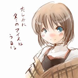 Rule 34 | 1girl, blue eyes, blush, brown hair, closed mouth, collar, eyebrows, kanon, looking at viewer, misaka shiori, shawl, short hair, simple background, solo, text focus, translation request, upper body