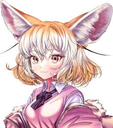 Rule 34 | 1girl, akegata tobari, animal ear fluff, animal ears, black bow, blonde hair, blush, bow, breasts, brown eyes, closed mouth, collared shirt, commentary request, fang, fang out, fennec (kemono friends), fox ears, gradient hair, hair between eyes, highres, jacket, kemono friends, multicolored hair, off shoulder, open clothes, open jacket, pink jacket, shirt, simple background, small breasts, smile, solo, sweater vest, upper body, white background, white hair, white shirt
