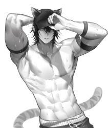 Rule 34 | 1boy, abs, adjusting clothes, adjusting headwear, animal ears, arknights, arm strap, armpits, arms up, baseball cap, broca (arknights), cat ears, cat tail, commentary request, ears through headwear, greyscale, hair between eyes, hat, highres, male focus, monochrome, muscular, short hair, solo, sweat, tail, upper body, very sweaty, zerg (z79438659)