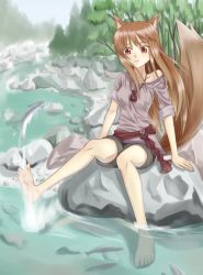 Rule 34 | 00s, 1girl, animal ears, barefoot, brown eyes, brown hair, feet, fish, holo, long hair, river, sitting, sleeves rolled up, soaking feet, solo, spice and wolf, stream, sukua, tail, tk28, water, wolf ears, wolf tail