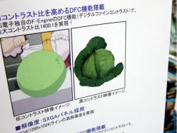 Rule 34 | ad, akibablog, cabbage, photo (medium), quality, quality cabbage (meme), sign, translation request
