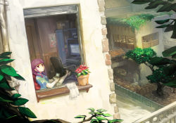 Rule 34 | 1girl, barefoot, blunt bangs, box, building, canal, cardboard box, chair, cityscape, cobblestone, crossed ankles, drainpipe, dutch angle, flower, flower pot, handheld game console, hime cut, long hair, looking at viewer, looking outside, monitor, nintendo 3ds, office chair, on bed, original, orz (orz57), overgrown, plant, playing games, potted plant, purple eyes, purple hair, railing, red eyes, scenery, sitting, solo, swivel chair, tile roof, town, tree, window