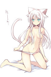 Rule 34 | 1girl, anceril sacred, animal ears, bad id, bad pixiv id, barefoot, blue eyes, breasts, cat ears, cat tail, censored, convenient censoring, hair censor, hair over breasts, long hair, medium breasts, mishima kurone, navel, original, panties, panty lift, solo, tail, topless, underwear, underwear only, white hair, white panties