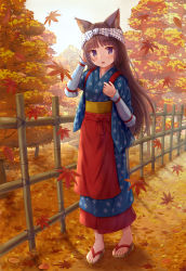 Rule 34 | 1girl, absurdres, animal ear fluff, animal ears, apron, autumn leaves, bamboo fence, blue eyes, blue kimono, blush, bow, brown footwear, brown hair, cat ears, commentary request, day, fence, full body, hand up, highres, iroha (iroha matsurika), japanese clothes, kimono, leaf, long hair, looking at viewer, maple leaf, obi, original, outdoors, parted lips, polka dot, polka dot bow, red apron, sandals, sash, short sleeves, solo, standing, tasuki, tree, very long hair, waist apron, white bow, zouri