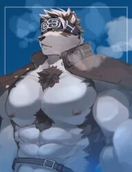 Rule 34 | 1boy, abs, absurdres, animal ears, bara, belt, blue background, breath, brown fur, brown hair, chest hair, cold, commentary, framed, furry, furry male, gakuran, grey fur, grey hair, headband, highres, horkeu kamui, jacket, jacket on shoulders, large pectorals, looking at viewer, male focus, multicolored hair, muscular, muscular male, nipples, no shirt, parted lips, pectorals, pluto (pu94 d1de4c), school uniform, short hair, simple background, solo, tokyo houkago summoners, two-tone fur, two-tone hair, upper body, wolf boy, wolf ears, yellow eyes