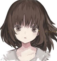 Rule 34 | 1girl, absurdres, brown eyes, brown hair, expressionless, grey shirt, highres, looking at viewer, medium hair, original, parted lips, portrait, shii595, shirt, simple background, solo, white background