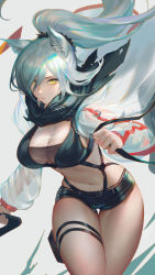 Rule 34 | 1girl, absurdres, animal ears, arknights, breasts, cleavage, closed mouth, crop top, fishnets, hair between eyes, high ponytail, highres, jacket, jiam009, large breasts, long hair, looking at viewer, navel, open clothes, open jacket, ponytail, scarf, schwarz (arknights), see-through, short shorts, shorts, silver hair, solo, suspenders, thigh strap, thighs, yellow eyes