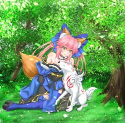 Rule 34 | 10s, 2girls, amaterasu (ookami), animal ears, bare shoulders, bow, breasts, choker, collarbone, crossover, fate/extra, fate (series), fox ears, highres, japanese clothes, kimono, multiple girls, ookami (game), pink hair, rs7, sandals, sitting, tail, tamamo (fate), tamamo no mae (fate/extra), thighhighs, tree, twintails, yellow eyes