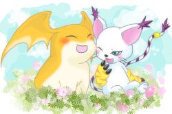 Rule 34 | animal ears, cat, cat ears, digimon, digimon (creature), gloves, holy ring, patamon, tail, tailmon