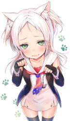 Rule 34 | 1girl, :3, absurdres, american flag, anchor, animal ear fluff, animal ears, animal hands, asagi yuna, azur lane, black gloves, black thighhighs, blush, cat ears, commentary request, fingerless gloves, gloves, green eyes, highres, long hair, looking at viewer, paw pose, simple background, sims (azur lane), slit pupils, solo, thighhighs, white hair, white thighhighs
