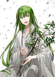 Rule 34 | 1boy, :d, androgynous, branch, enkidu (fate), fate/strange fake, fate (series), green eyes, green hair, hair between eyes, highres, kazari tayu, leaf, long hair, looking at viewer, male focus, open mouth, other focus, ribbon, robe, simple background, sitting, smile, solo, very long hair, white background, white robe, wind