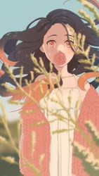 Rule 34 | 1girl, black hair, blurry, blurry foreground, camisole, covered mouth, floating hair, flower, gradient hair, highres, i do anime, kamado nezuko, kimetsu no yaiba, long hair, looking at viewer, multicolored hair, orange hair, pink eyes, pink flower, pink rose, pink sweater, plant, rose, shadow, solo, sweater, tears, upper body, white camisole