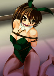 Rule 34 | 1girl, animal ears, arms behind back, artist request, bare shoulders, bdsm, bit gag, blush, bondage, bound, box tie, breasts, brown eyes, brown hair, character request, checkered floor, cleavage, detached collar, fake animal ears, floor, from above, gag, gagged, kneeling, leotard, long hair, looking at viewer, looking up, matching hair/eyes, playboy bunny, rabbit ears, rope, shibari, shibari over clothes, sitting, source request, yokozuwari