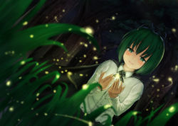 Rule 34 | 1girl, antennae, arms up, black cape, blush, cape, commentary request, crying, crying with eyes open, dutch angle, fireflies, flat chest, forest, grass, green eyes, green hair, hair between eyes, highres, light trail, long sleeves, looking at viewer, luke (kyeftss), nature, night, open hands, outdoors, own hands together, parted lips, shirt, short hair, solo, standing, streaming tears, tears, touhou, untucked shirt, upper body, white shirt, wing collar, wriggle nightbug