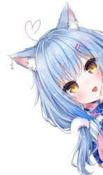 Rule 34 | 1girl, absurdres, ahoge, animal ear fluff, animal ears, blue hair, blush, cat ears, commentary request, ear piercing, eyes visible through hair, hair ornament, hairclip, hand up, heart, heart ahoge, highres, hololive, kohe billialot, long hair, long sleeves, looking at viewer, multicolored hair, open mouth, peeking out, piercing, pom pom (clothes), pom pom hair ornament, simple background, solo, streaked hair, virtual youtuber, white background, yellow eyes, yukihana lamy