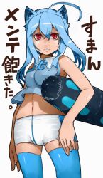Rule 34 | 1girl, ahoge, animal ears, blue hair, midriff, navel, personification, recube, red eyes, short hair, shorts, solo, thighhighs, twitter