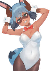 Rule 34 | 1girl, alternate species, animal ear fluff, animal nose, armpits, arms up, bare shoulders, black pantyhose, blue eyes, blue hair, body fur, bow, bowtie, brand new animal, breasts, brown fur, cleavage, covered navel, cowboy shot, detached collar, female focus, furry, furry female, green pupils, grin, groin, hair between eyes, happy, highres, imori (lizzy), kagemori michiru, leotard, looking at viewer, medium breasts, multicolored hair, pantyhose, playboy bunny, rabbit ears, rabbit girl, rabbit pose, rabbit tail, raccoon girl, red bow, red bowtie, short hair, simple background, smile, solo, standing, straight-on, strapless, strapless leotard, teeth, traditional bowtie, two-tone fur, two-tone hair, white background, white leotard, wrist cuffs