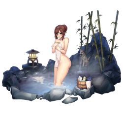 Rule 34 | 1girl, areola slip, bamboo, blush, breast hold, breasts, brown hair, bucket, collarbone, covering privates, covering breasts, d-log, digital media player, dog, english text, fountain, full body, grey eyes, groin, hair between eyes, hair bun, highres, in water, kheshig (last origin), last origin, long hair, looking at viewer, medium breasts, nude cover, official art, onsen, open mouth, partially submerged, ripples, rock, see-through, shutter shades, soap bottle, solo, statue, stone lantern, stuffed animal, stuffed dolphin, stuffed toy, tachi-e, thighhighs, thighs, towel, transparent background, water, wet, white towel, wooden bucket