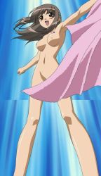 Rule 34 | 00s, 1girl, breasts, brown eyes, brown hair, long hair, love love?, nipples, nude, open mouth, solo, standing, stitched, third-party edit, towel, yagami natsumi