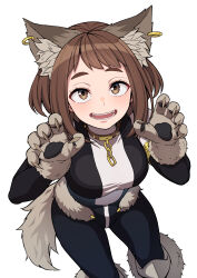 Rule 34 | 1girl, absurdres, animal costume, animal ears, animal feet, animal hands, black bodysuit, bodysuit, boku no hero academia, breasts, brown eyes, brown hair, chain, claw pose, claws, collar, gloves, hands up, highres, kobaji, large breasts, medium hair, open mouth, paw gloves, paw shoes, simple background, solo, tail, teeth, uraraka ochako, white background, wolf costume, wolf ears, wolf girl, wolf tail