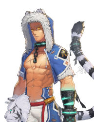 Rule 34 | 1boy, abs, animal ears, bara, bare pectorals, belt, biceps, breasts, chain, collar, fang, fighter (dungeon and fighter), gauntlets, hood, hoodie, jacket, jin (sirius-j), large breasts, large pectorals, male focus, manly, mature male, muscular, muscular male, navel, navel hair, nipples, open clothes, open jacket, original, pants, pectorals, scar, scar on arm, scar on chest, scar on face, scar on stomach, short sleeves, skirt, solo, tail, tiger, tiger ears, tiger mask (object), tiger tail, torn clothes, white hair, yellow eyes