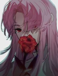 Rule 34 | 1boy, eyes visible through hair, flower, flower over mouth, hatsutori hajime, holding, holding flower, long hair, male focus, parted lips, pink hair, red eyes, red flower, red rose, rose, saibou shinkyoku, shirt, simple background, solo, songlajihuijia, white background, white shirt