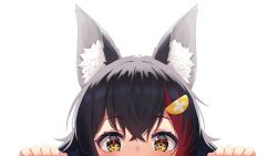 Rule 34 | 1girl, absurdres, animal ear fluff, animal ears, black hair, commentary request, hair between eyes, hair ornament, hands up, highres, hololive, looking at viewer, multicolored hair, ookami mio, peeking, portrait, red hair, simple background, solo, starkamisan, streaked hair, virtual youtuber, white background, wolf ears, wolf girl, yellow eyes