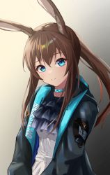 Rule 34 | 1girl, absurdres, amiya (arknights), animal ears, arknights, ascot, black jacket, blue ascot, blue collar, blue eyes, breasts, brown hair, collar, female focus, grey background, highres, jacket, jewelry, long hair, long sleeves, looking at viewer, neck ring, nekomatamago, open clothes, open jacket, ponytail, rabbit ears, rabbit girl, shirt, sidelocks, simple background, small breasts, smile, solo, upper body, white shirt