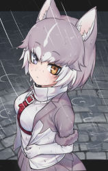 Rule 34 | 1girl, :&lt;, animal ears, blue eyes, blush, breasts, brown eyes, closed mouth, dog (mixed breed) (kemono friends), dog ears, dog tail, elbow gloves, gloves, grey hair, grey skirt, heterochromia, kemono friends, looking at viewer, medium breasts, multicolored hair, nyifu, puddle, rain, short hair, short sleeves, skirt, solo, tail, two-tone hair, white gloves, white hair