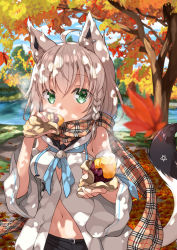 Rule 34 | 1girl, absurdres, ahoge, animal ear fluff, animal ears, autumn, autumn leaves, blurry, braid, breasts, commentary request, day, depth of field, detached sleeves, earrings, eating, food, food on face, fox ears, green eyes, grey hair, hair between eyes, highres, holding, holding food, hololive, jewelry, lake, leaf, long hair, looking at viewer, maple leaf, md5 mismatch, medium breasts, miyabi (miyabeeya), nature, navel, open clothes, outdoors, plaid, plaid scarf, resolution mismatch, roasted sweet potato, scarf, shirakami fubuki, shirakami fubuki (1st costume), side braid, single braid, single earring, solo, source smaller, steam, sweet potato, tail, virtual youtuber, wide sleeves