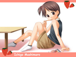 Rule 34 | brown eyes, child, food, fruit, ichigo mashimaro, socks, strawberry, wallpaper, withe