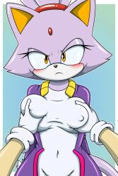 Rule 34 | 1girl, 2023, angry, animal ears, blaze the cat, blush, breasts, furry, furry female, gloves, grabbing, grabbing another&#039;s breast, groping, highres, looking at viewer, medium breasts, pov, purple fur, sonic (series), sonicguru, third-party source, yellow eyes