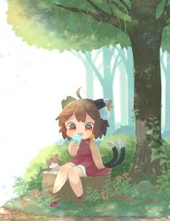 Rule 34 | 1girl, :3, :p, ahoge, animal ear fluff, animal ears, bare arms, blurry, blurry background, brown hair, cat, cat ears, cat tail, chen, chibi, commentary request, dripping, earrings, food, grass, highres, holding, holding food, ibaraki natou, jewelry, licking, looking at viewer, multiple tails, mushroom, no lineart, popsicle, red eyes, red footwear, red skirt, red vest, shoes, unworn shoes, short hair, signature, single shoe, sitting, skirt, solo, tail, tongue, tongue out, touhou, tree, tree stump, under tree, vest