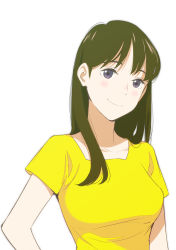 Rule 34 | 10s, 1girl, black eyes, blush, breasts, brown hair, long hair, looking at viewer, medium breasts, onee-san (penguin highway), penguin highway, pre3445, shirt, simple background, smile, solo, upper body, white background, yellow shirt