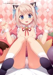 Rule 34 | 1girl, absurdres, animal ears, argyle, argyle background, argyle clothes, bell, blue eyes, blush, bottomless, breasts, brown eyes, cat ears, collar, d:, detached collar, doughnut, food, hair ornament, hair ribbon, hairpin, highres, imouto no katachi, knees together feet apart, kodamasawa izumi, light brown hair, mima chimari, neck bell, nipples, no bra, open mouth, panties, ribbon, short hair, small breasts, solo, spread legs, underwear, white panties, wrist cuffs