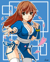 Rule 34 | 1girl, breasts, dead or alive, kasumi (doa), large breasts, long hair, ponytail, smile, solo, tecmo