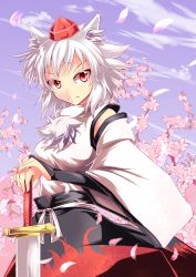 Rule 34 | 1girl, animal ears, ashiroku (miracle hinacle), breasts, bridal gauntlets, cherry blossoms, cloud, detached sleeves, female focus, frown, hands on hilt, hat, highres, inubashiri momiji, petals, red eyes, sash, serious, short hair, skirt, sky, solo, sword, tail, tokin hat, touhou, weapon, white hair, wolf ears, wolf tail
