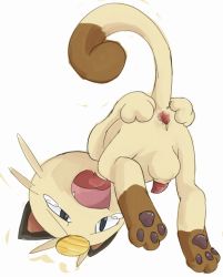 Rule 34 | animal hands, anus, artist request, cat, creatures (company), furry, furry male, game freak, gen 1 pokemon, male focus, meowth, nintendo, no humans, open mouth, penis, pokemon, pokemon (creature), presenting, simple background, solo, spread anus, tail, tears, testicles