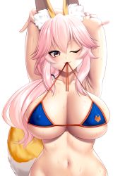 Rule 34 | 1girl, absurdres, animal ear fluff, animal ears, armpits, arms behind head, arms up, bare shoulders, bikini, blue bikini, blush, breasts, cleavage, closed mouth, collarbone, covered erect nipples, fangs, fate/grand order, fate (series), fox ears, fox girl, fox tail, hair between eyes, highres, kashima mashino, large breasts, long hair, looking at viewer, mouth hold, navel, one eye closed, pink hair, side ponytail, sidelocks, simple background, smile, swimsuit, tail, tamamo (fate), tamamo no mae (fate/extra), tamamo no mae (swimsuit lancer) (fate), wet, white background, yellow eyes