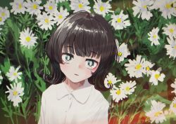 Rule 34 | 1girl, bad id, bad twitter id, black eyes, blouse, blunt bangs, brown hair, collared shirt, curly hair, floral background, flower, gishiki (gshk), highres, long sleeves, looking at viewer, original, shirt, solo, upper body, white shirt