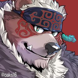 Rule 34 | 1boy, ainu clothes, animal ears, animal nose, bear boy, bear ears, chest tuft, close-up, commentary request, facepaint, furry, furry male, green eyes, headband, kimun kamui (housamo), male focus, okusu (oaks16), red background, red pupils, short hair, solo, tokyo houkago summoners, tusks, twitter username, white hair