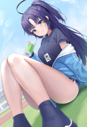 Rule 34 | 1girl, absurdres, black footwear, black shirt, blue archive, blue buruma, blue eyes, blue jacket, blue sky, blush, bottle, breasts, buruma, closed mouth, day, dutch angle, feet out of frame, foreshortening, gym uniform, half updo, halo, hand up, highres, holding, holding bottle, jacket, lanyard, long hair, looking at viewer, medium breasts, official alternate costume, one side up, open clothes, open jacket, outdoors, parted bangs, purple hair, rama (yu-light8), shirt, short sleeves, sidelocks, sitting, sky, smile, solo, star sticker, sticker on face, sweat, thighs, track jacket, yuuka (blue archive), yuuka (track) (blue archive)