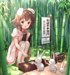 Rule 34 | 1girl, :d, absurdres, animal, animal ears, bamboo, bamboo forest, barefoot, blush, brown eyes, brown hair, carrot, carrot necklace, clipboard, commentary request, day, dress, forest, highres, holding, inaba tewi, nature, necklace, open mouth, outdoors, pink dress, pointing, puffy short sleeves, puffy sleeves, rabbit, rabbit ears, ribbon-trimmed dress, short hair, short sleeves, sign, smile, solo, squatting, stick jitb, touhou, translated
