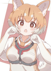 Rule 34 | 1girl, animal ear fluff, animal ears, breasts, brown background, brown eyes, brown hair, brown necktie, collared shirt, commentary request, dog (shiba inu) (kemono friends), dog ears, dog girl, dog tail, elbow gloves, fang, gloves, hands up, highres, kemono friends, looking at viewer, medium breasts, multicolored hair, necktie, open mouth, shirt, short sleeves, solo, sunanuko (ramuneko), sweater vest, tail, two-tone background, two-tone hair, upper body, white background, white gloves, white hair, white shirt