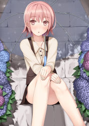 Rule 34 | 1girl, blush, breasts, brown eyes, brown hair, brown vest, buttons, collarbone, day, flower, hands on own knees, hydrangea, kinugasa yuuichi, legs, long sleeves, looking at viewer, medium breasts, original, parted lips, pink eyes, pink hair, pocket, short hair, sitting, solo, stone wall, transparent, transparent umbrella, umbrella, vest, wall
