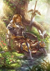 Rule 34 | 1girl, armor, bird, brown hair, closed eyes, dappled sunlight, day, flower, food, forest, fruit, full armor, gauntlets, grass, guchico, highres, light rays, nature, original, plant, plant roots, shield, sitting, sleeping, soaking feet, solo, strawberry, sunbeam, sunlight, sword, tree, tree shade, vines, water, weapon
