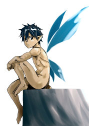 Rule 34 | 1boy, arched soles, arm on knee, armpits, ass, barefoot, black hair, brown eyes, casual nudity, clenched hands, cliff, closed mouth, unworn clothes, collarbone, completely nude, fairy wings, feet, feet up, fingernails, from side, full body, hair between eyes, khunpol, kirito, knee up, legs, looking at viewer, male focus, male nipples, nature, navel, neck, nipples, nude, nudist, outdoors, pointy ears, rock, serious, shiny skin, short hair, sidelocks, simple background, sitting, spiked hair, sword art online, thighs, toe scrunch, toenails, toes, turning head, white background, wings