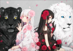 Rule 34 | 2girls, animal, bare shoulders, black dress, black gloves, black hair, black vs white, blue eyes, blush, bow, bowtie, breasts, choker, closed mouth, commentary, detached sleeves, dress, earrings, fingernails, flower, gloves, grey background, hair flower, hair ornament, hakusai (tiahszld), japanese clothes, jewelry, kimono, light frown, lion, long hair, long sleeves, looking at viewer, multiple girls, nail polish, obi, original, petals, petting, pink flower, pink nails, pink rose, profile, purple eyes, red bow, red eyes, red flower, red neckwear, red rose, rose, sash, see-through, sitting, small breasts, smile, symbol-only commentary, tiger, very long hair, white choker, white hair, white kimono, wide sleeves, wrist flower, yellow eyes