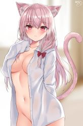 Rule 34 | 1girl, akino ell, animal ear fluff, animal ears, blurry, breasts, cat ears, cat girl, cat tail, cleavage, closed mouth, collarbone, collared shirt, cowboy shot, depth of field, frown, groin, highres, large breasts, long hair, long sleeves, looking at viewer, naked shirt, navel, open clothes, open shirt, original, pink hair, red eyes, shirt, solo, standing, stomach, tail, tail raised, white shirt